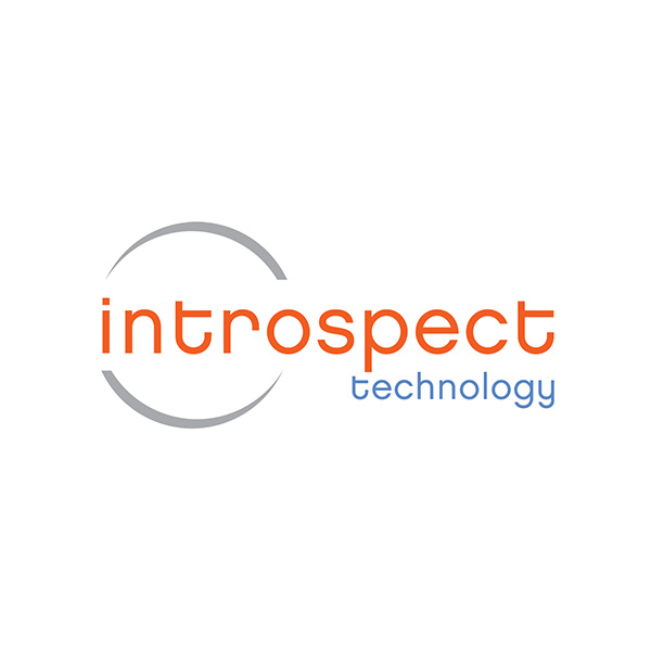 Introspect