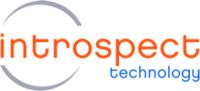 Introspect_logo