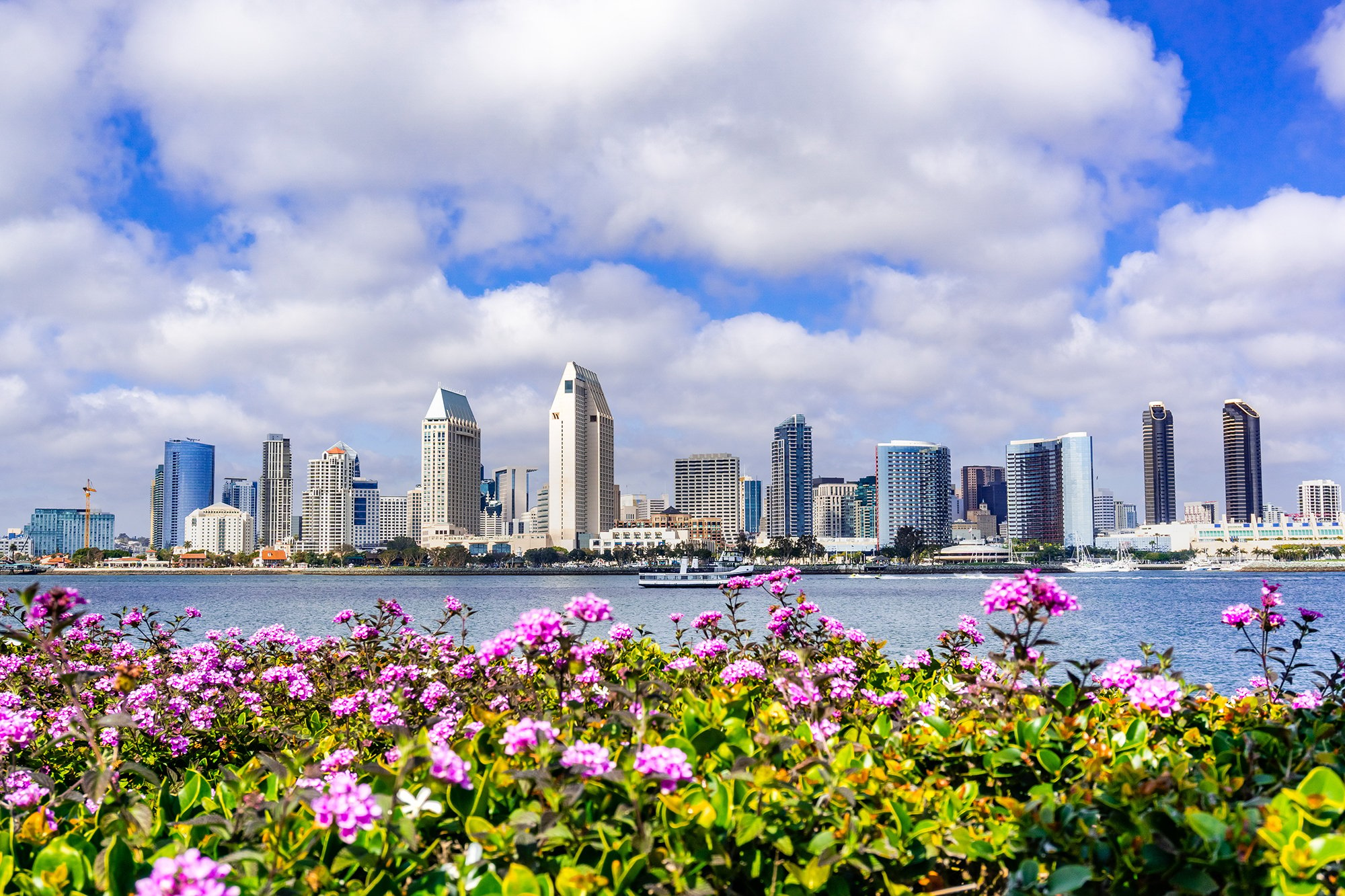 San-Diego-Skyline-website